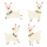 Collection set of cute vector illustration with lama or alpaca in flowers wreath in different poses isolated on white background. Cute cartoon lama character. 