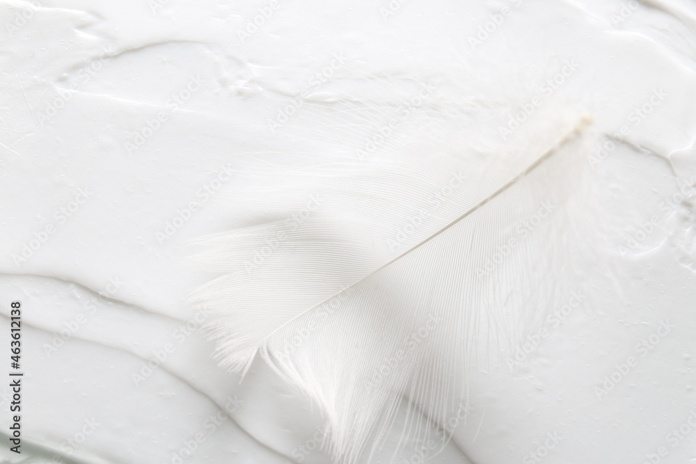 Obraz premium feather on white face cream background