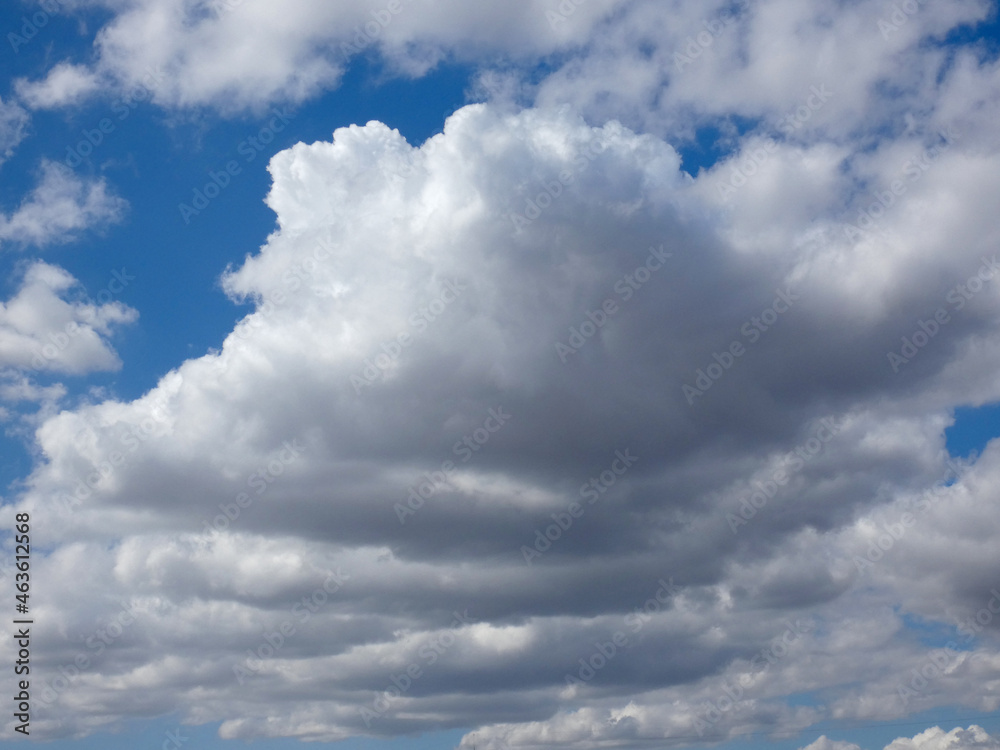 Naklejka premium Panorama