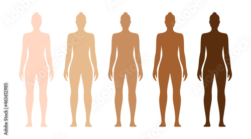 Naked female body with different skin tones. Human race skin color examples vector illustration, isolated on white background.