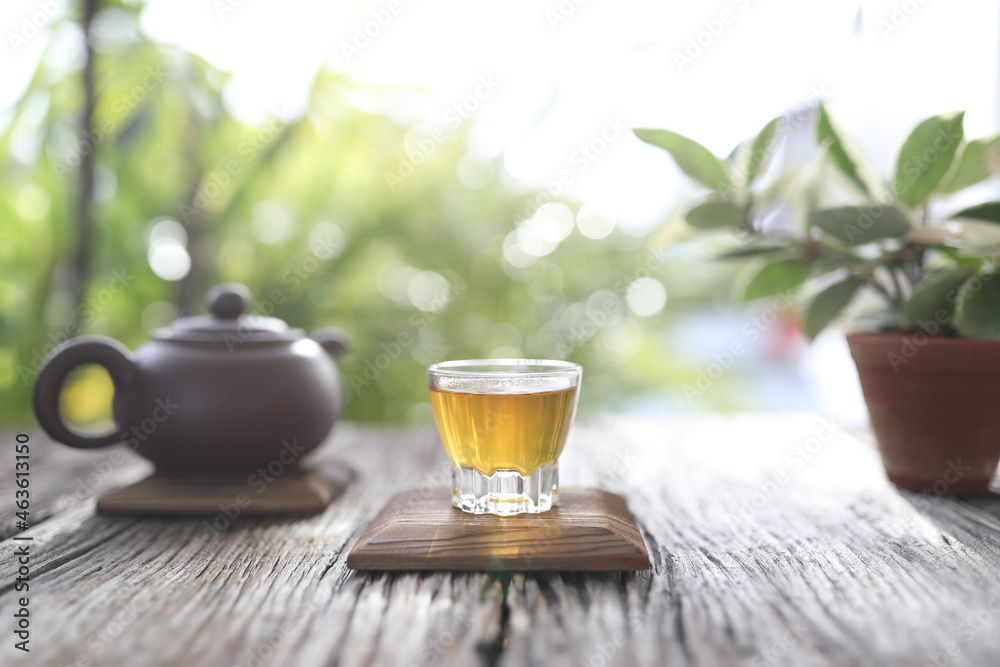 Tea glass cup and clay pot with hoya plant Tea glass cup and clay pot with hoya plant