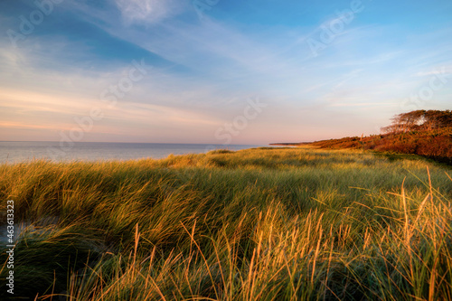 On the west beach on the Darss in Germany