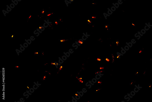 String lights glass bulbs garland with glowing spirals on black background. Focus concept.
