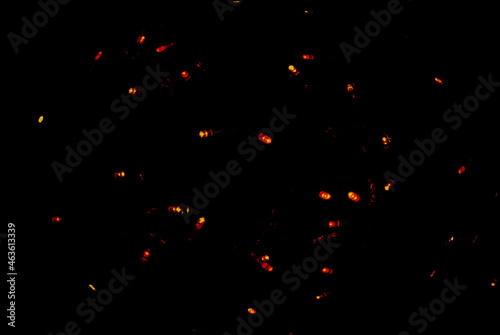 String lights glass bulbs garland with glowing spirals on black background. Focus concept. © Alleksa