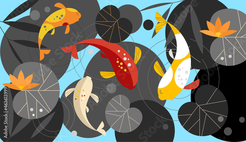 Colorful koi fish swimming into water, bright color of lotus leaf  and rocks on the ground in the middle of the blue sea.