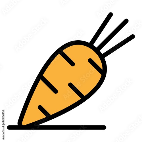 Tasty carrot icon. Outline tasty carrot vector icon color flat isolated