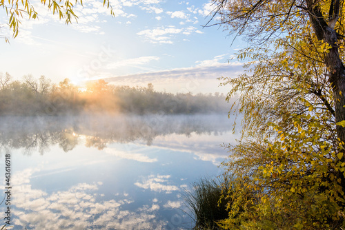 autumn landscape river in the morning fog over the water. panorama of the river in autumn. the yellow trees are reflected in the water