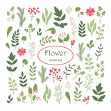 Vector floral set with plants and flowers