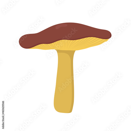 Colorful doodle mushrooms Flat design. 