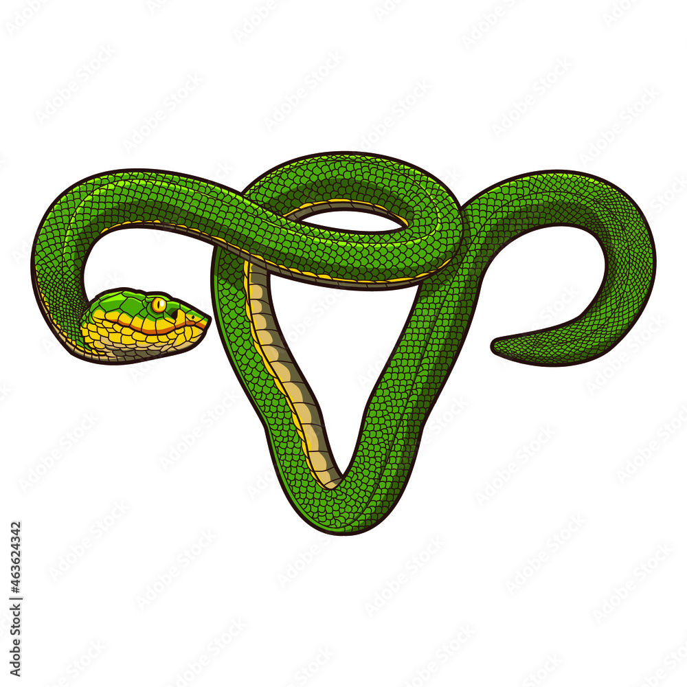 illustration of green snake vector design illustration of green snake vector design