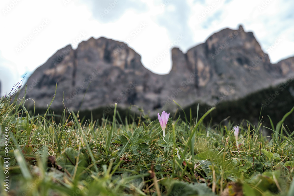 View of Sellaronda near Colfosco - cascate Piscandu'