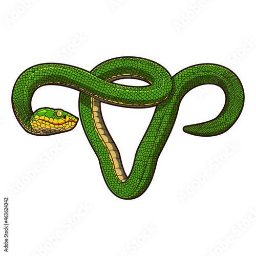 illustration of green snake vector design