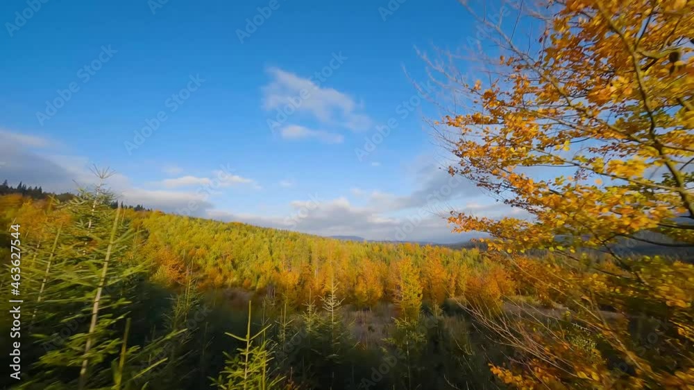 Aerial view of a bright autumn forest on the slopes of the mountains at sunrise. Colorful panorama of the Carpathian mountains in autumn. Aerial view of a bright autumn forest on the slopes of the mountains at sunrise. Colorful panorama of the Carpathian mountains in autumn.