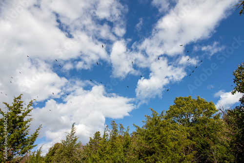 Point Pelee National Park