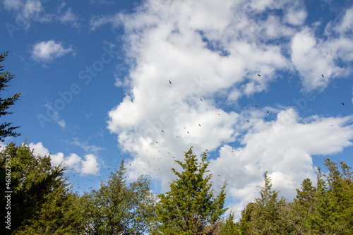 Point Pelee National Park