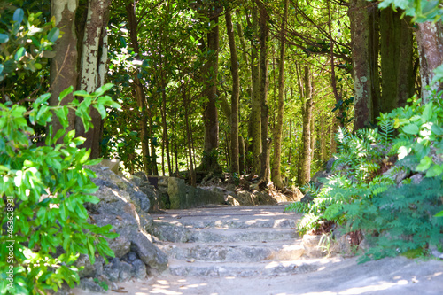 The entrance of Bise-Fukuchi tree road in Okinawa.