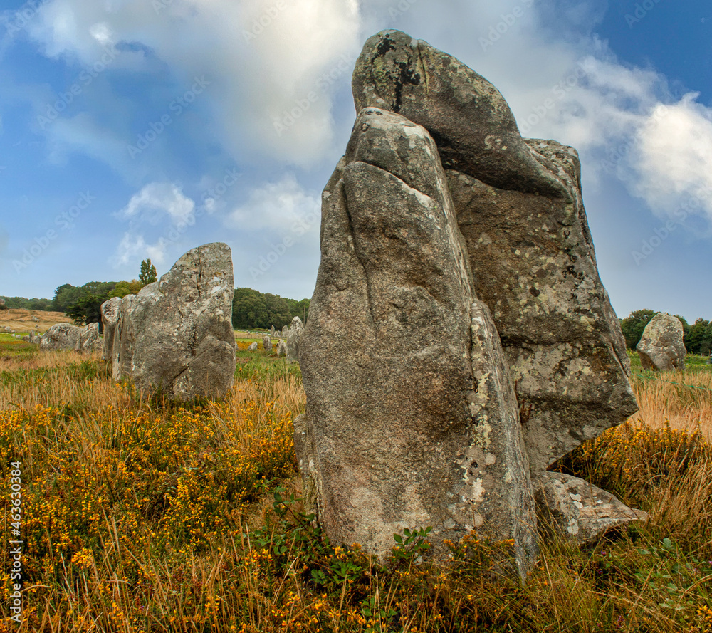 Menhiry w Carnac,Menhirs in Carnac Menhiry w Carnac,Menhirs in Carnac