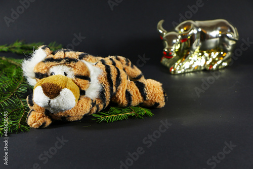 Christmas festive decor with a tiger on a black background.