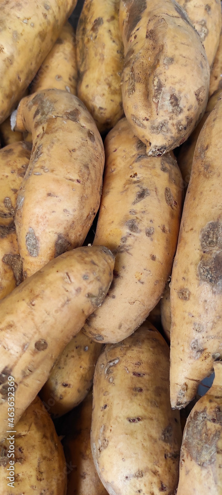 Photo of a pile of raw sweet potatoes being sold from the Cilembu area, Indonesia Photo of a pile of raw sweet potatoes being sold from the Cilembu area, Indonesia