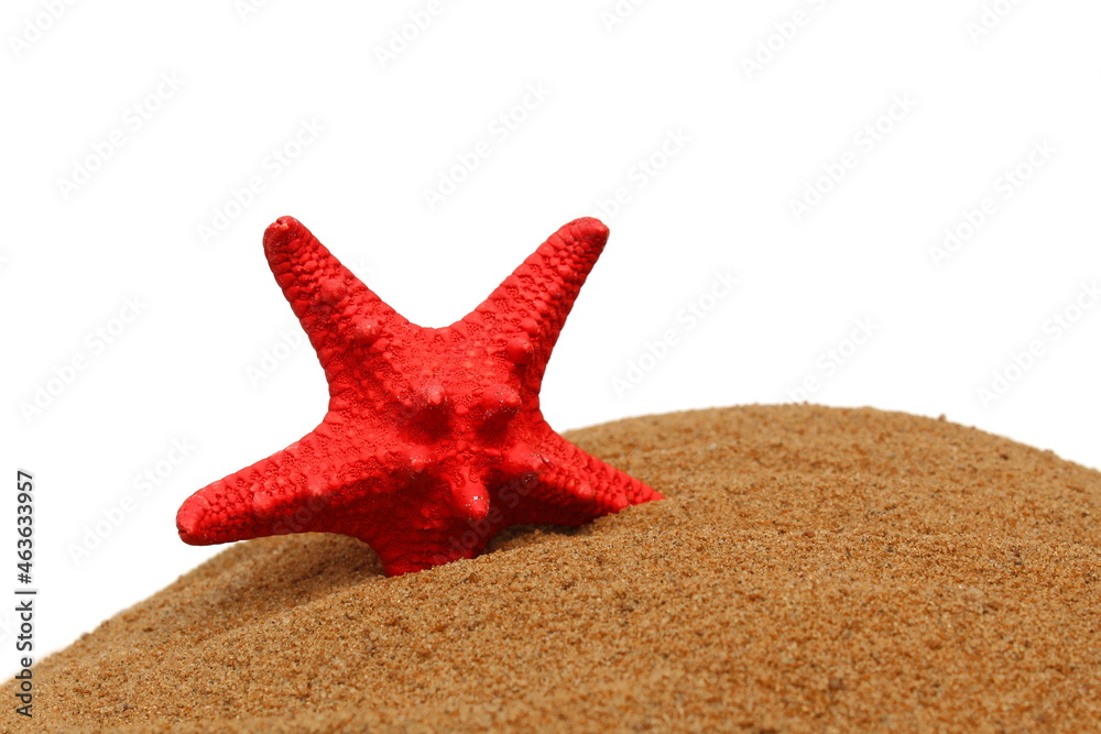 A red starfish lies on the sand. Travel and vacation theme. A red starfish lies on the sand. Travel and vacation theme.