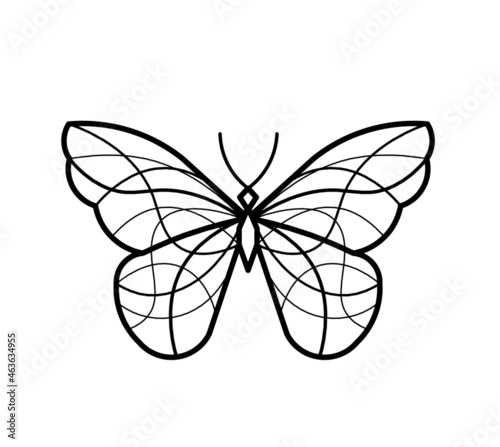Photography Abstract wave butterfly line icon, isolated on the white. Vector