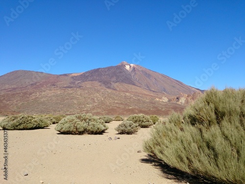 landscape in national park