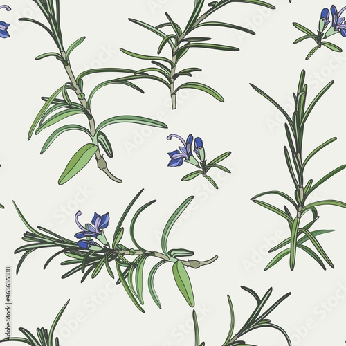 Herbal seamless pattern with rosemary sprigs on beige background. Backdrop with blooming fragrant herb. Elegant illustration in vintage style for wrapping paper  fabric print  wallpaper