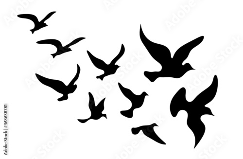 Silhouettes of groups of  birds on white © suns07butterfly