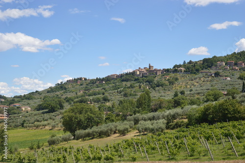 Vineyards and the village Panicale in Umbria  photo