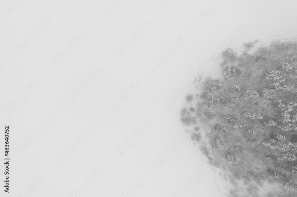 Fototapeta premium snow forest aerial photo