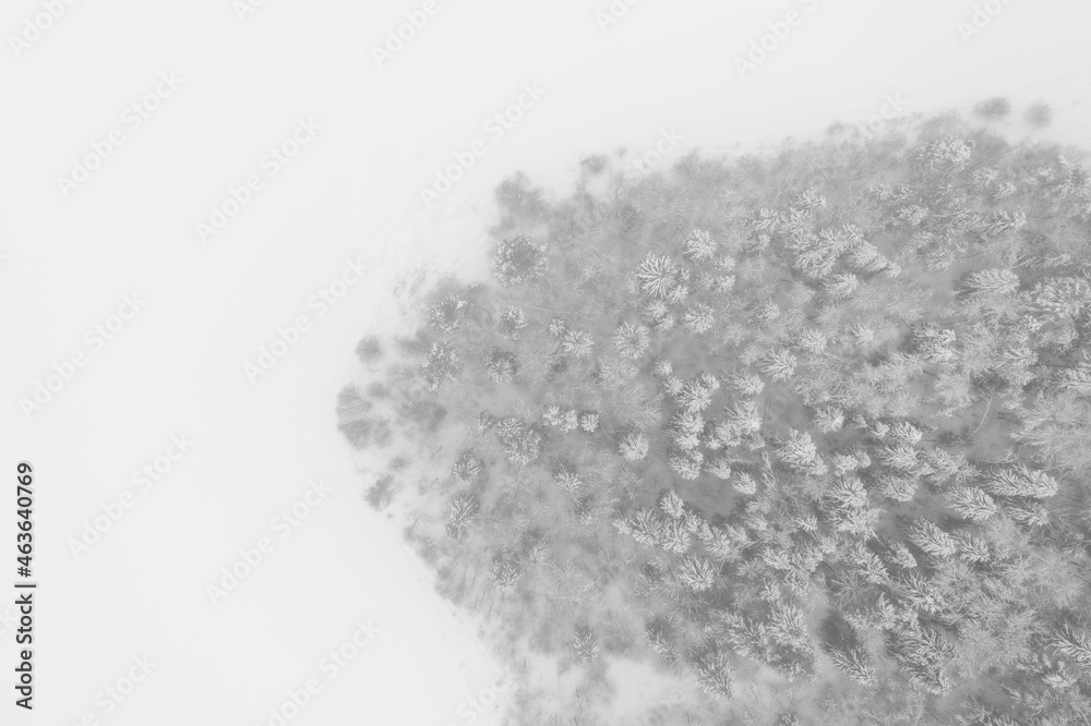 Fototapeta premium snow forest aerial photo