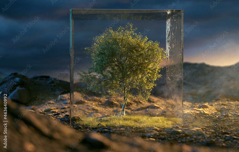 Tree in a glass box (3D Rendering) Stock Photo Adobe Stock