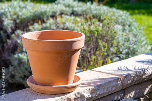 Pot de fleur en terre cuite