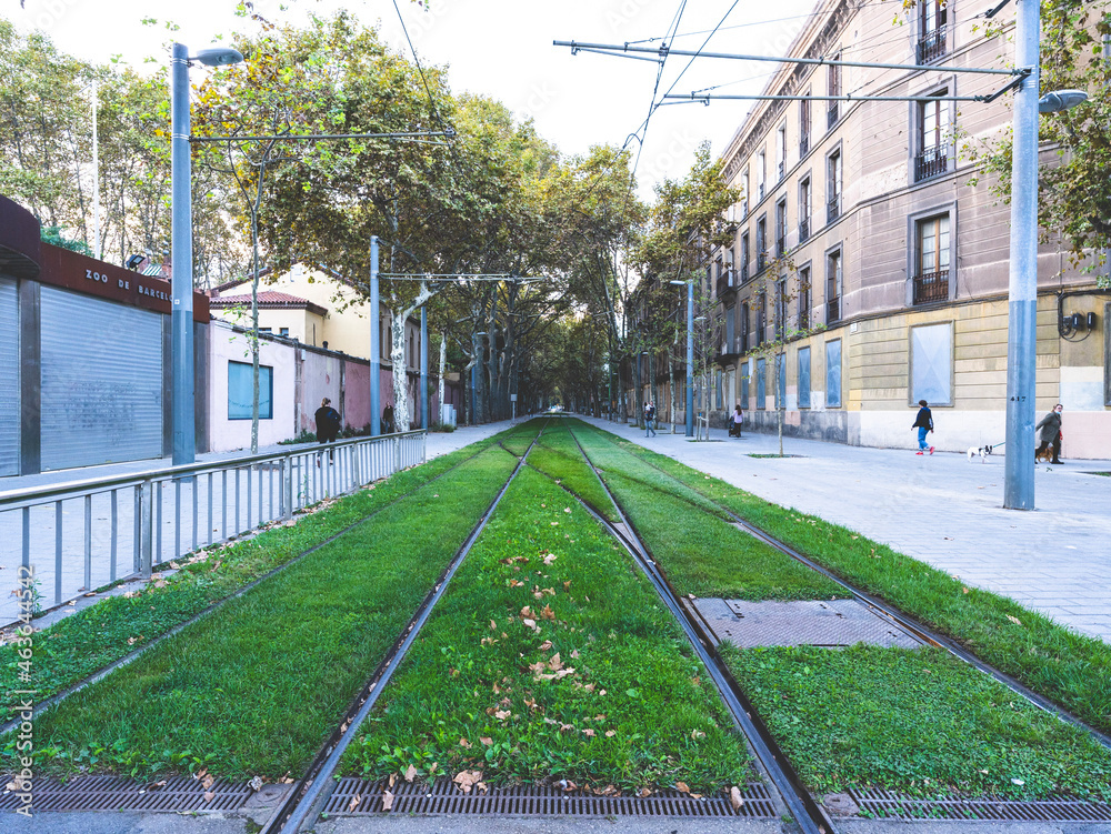 Fototapeta premium tram in the city