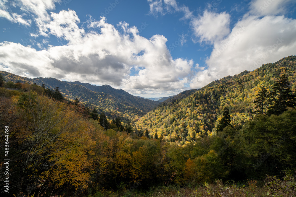 Smoky Mountains National Park Overlook