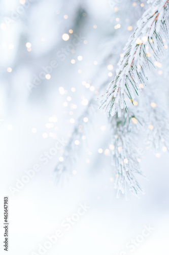 Background from snowy branches of Christmas tree with glowing lights from garland.