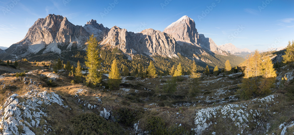 Alpine landscape, Mountains, fir trees and above all larches that change color assuming the typical yellow autumn color. Southern Tyrol. Amazing view from Passo Falzarego in Dolomites near Cortina.