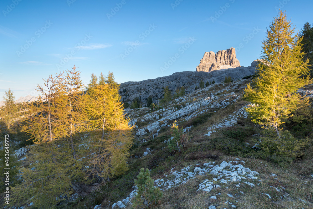 Alpine landscape, Mountains, fir trees and above all larches that change color assuming the typical yellow autumn color. Southern Tyrol. Amazing view from Passo Falzarego in Dolomites near Cortina. Alpine landscape, Mountains, fir trees and above all larches that change color assuming the typical yellow autumn color. Southern Tyrol. Amazing view from Passo Falzarego in Dolomites near Cortina.