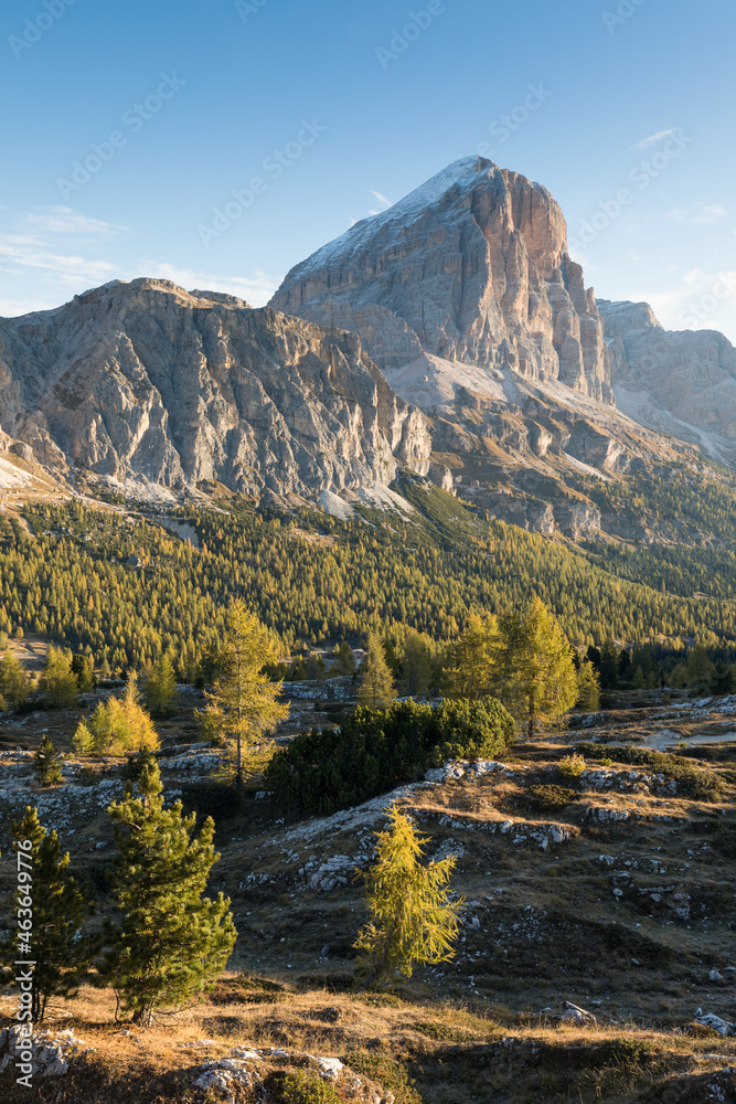 Fototapeta premium Alpine landscape, Mountains, fir trees and above all larches that change color assuming the typical yellow autumn color. Southern Tyrol. Amazing view from Passo Falzarego in Dolomites near Cortina.