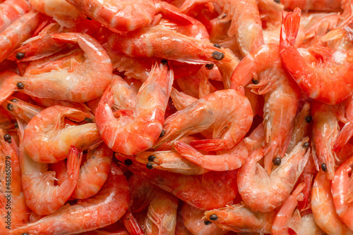 Shrimps background texture. A lot of shrimps. Cooked shrimps.