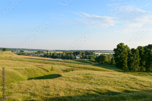 A rural settlement among a green field and forests on a sunny summer evening
