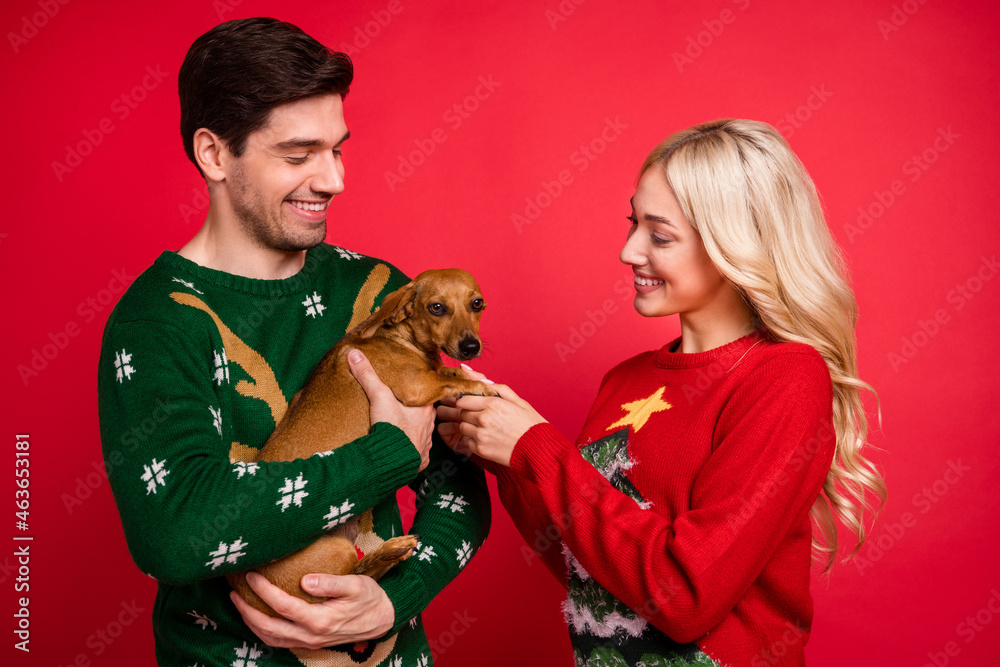 Photo of shiny cute young couple dressed ugly ornament sweaters holding hands puppy isolated red color background Photo of shiny cute young couple dressed ugly ornament sweaters holding hands puppy isolated red color background