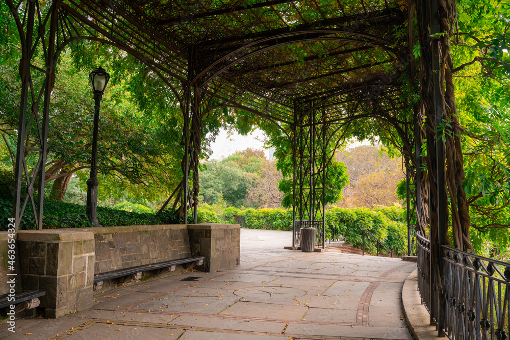 View from Central Park, New York City, Manhattan of scenic wisteria pergola at the Conservatory Garden.