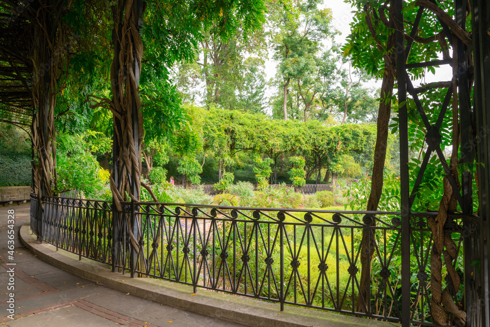 View from Central Park, New York City, Manhattan of scenic wisteria pergola at the Conservatory Garden. View from Central Park, New York City, Manhattan of scenic wisteria pergola at the Conservatory Garden.