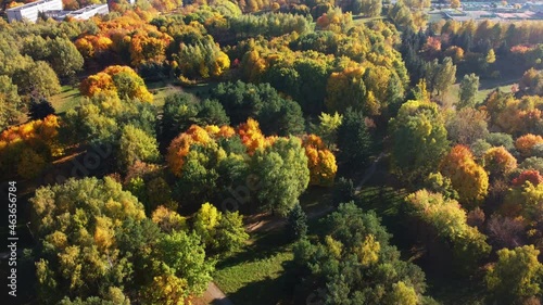 Flight over the autumn park