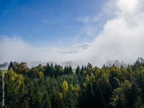 time clouds over the forest