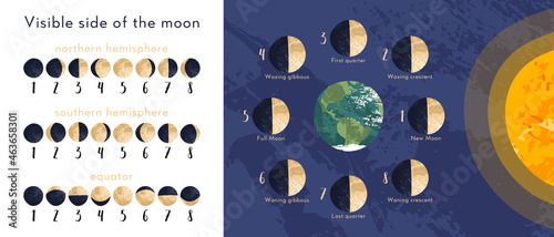 Moon phase, lunar cycle, synodic month. Lunary visible side. New and full moon, waxing and waning crescent, first and last quarter, gibbous. Astronomy, astrophysics. Vector flat cartoon illustration