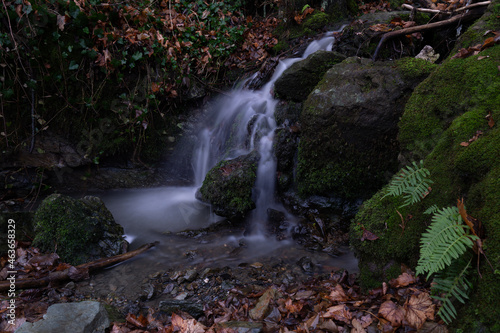 smooth motion of wild water in a river in summer with rocks and stones in the beautiful nature of a forest