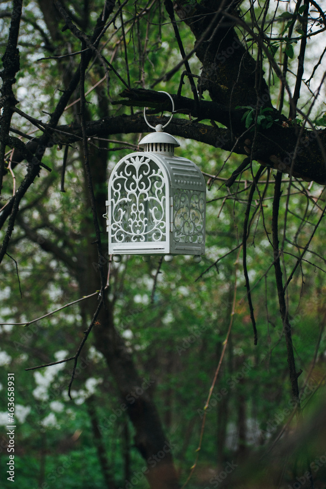in the garden, hanging on a branch lantern (for the use of candles)