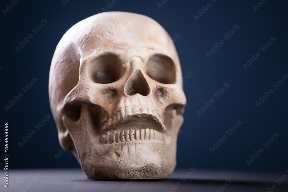 Obraz premium Terrifying Halloween skull for October holiday background